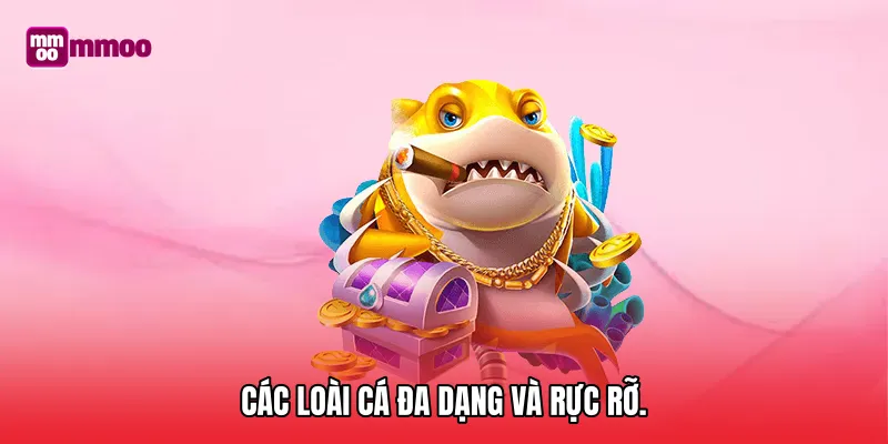 Các loài cá đa dạng và rực rỡ