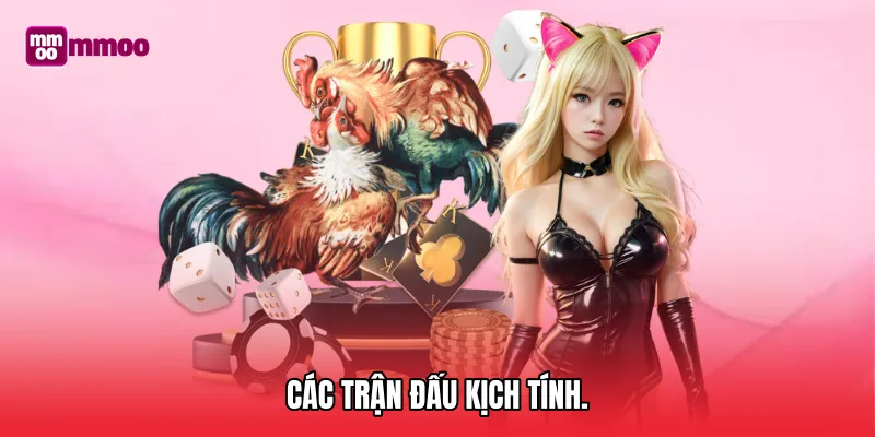 Các trận đấu kịch tính