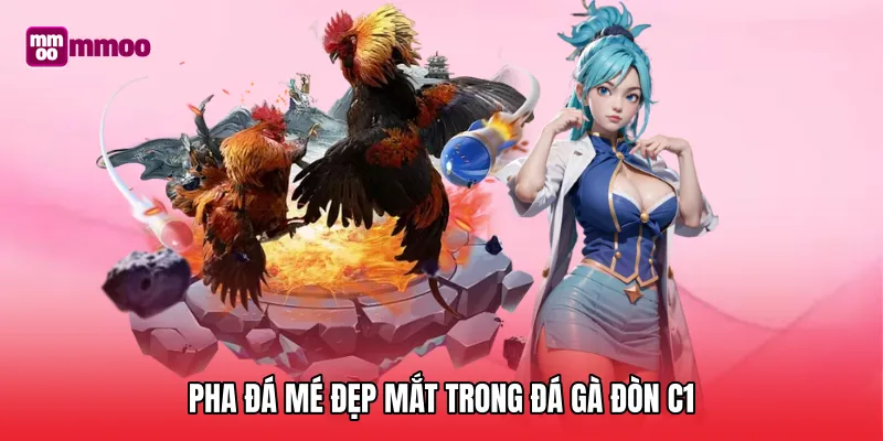 Pha đá mé đẹp mắt trong đá gà đòn C1